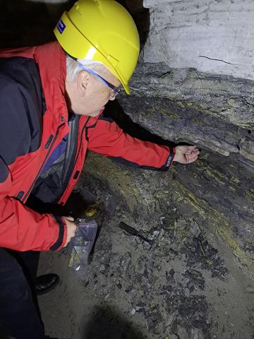 Kohlen-Geologe Reinhard F. Sachsenhofer